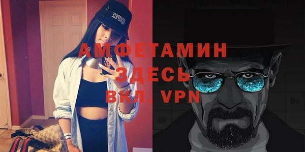 шишки Беломорск