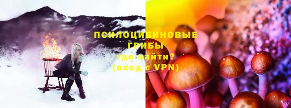 шишки Беломорск