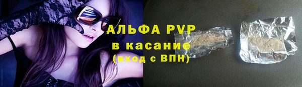 шишки Беломорск