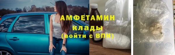шишки Беломорск