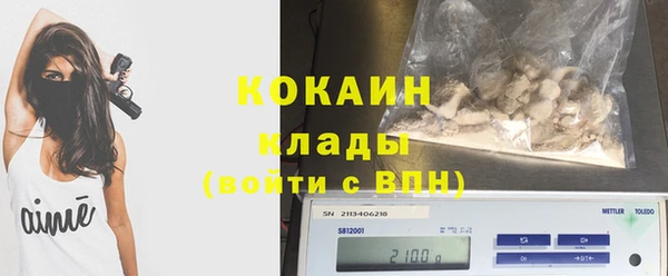 шишки Беломорск