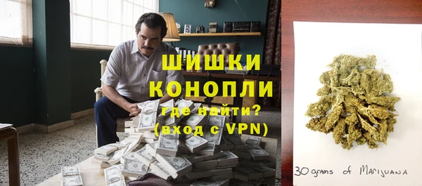 шишки Беломорск
