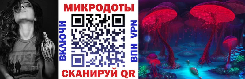 Псилоцибиновые грибы Psilocybine cubensis сколько стоит Верещагино